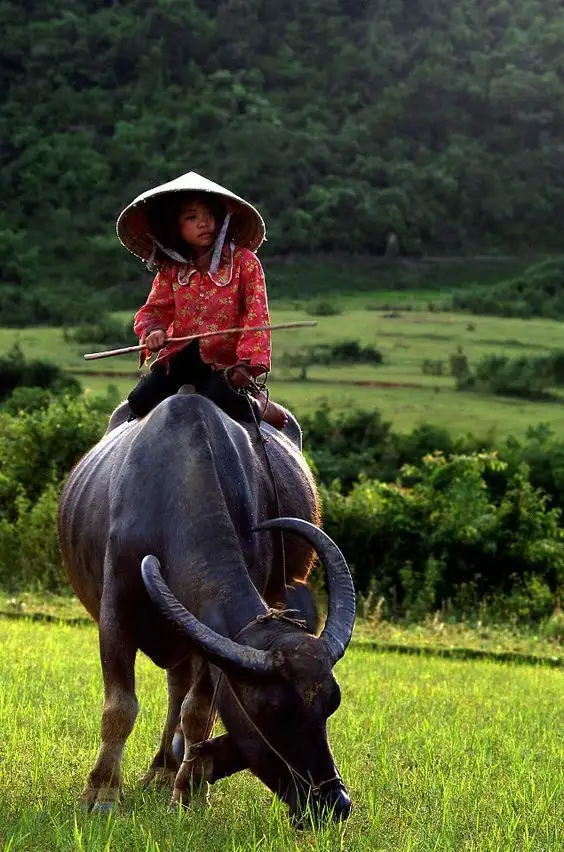 تور ویتنام از مشهد